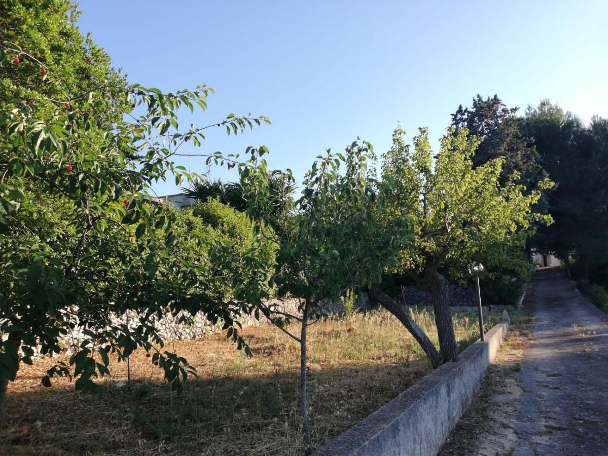 Ciao b&b Selva Di Fasano Exterior foto